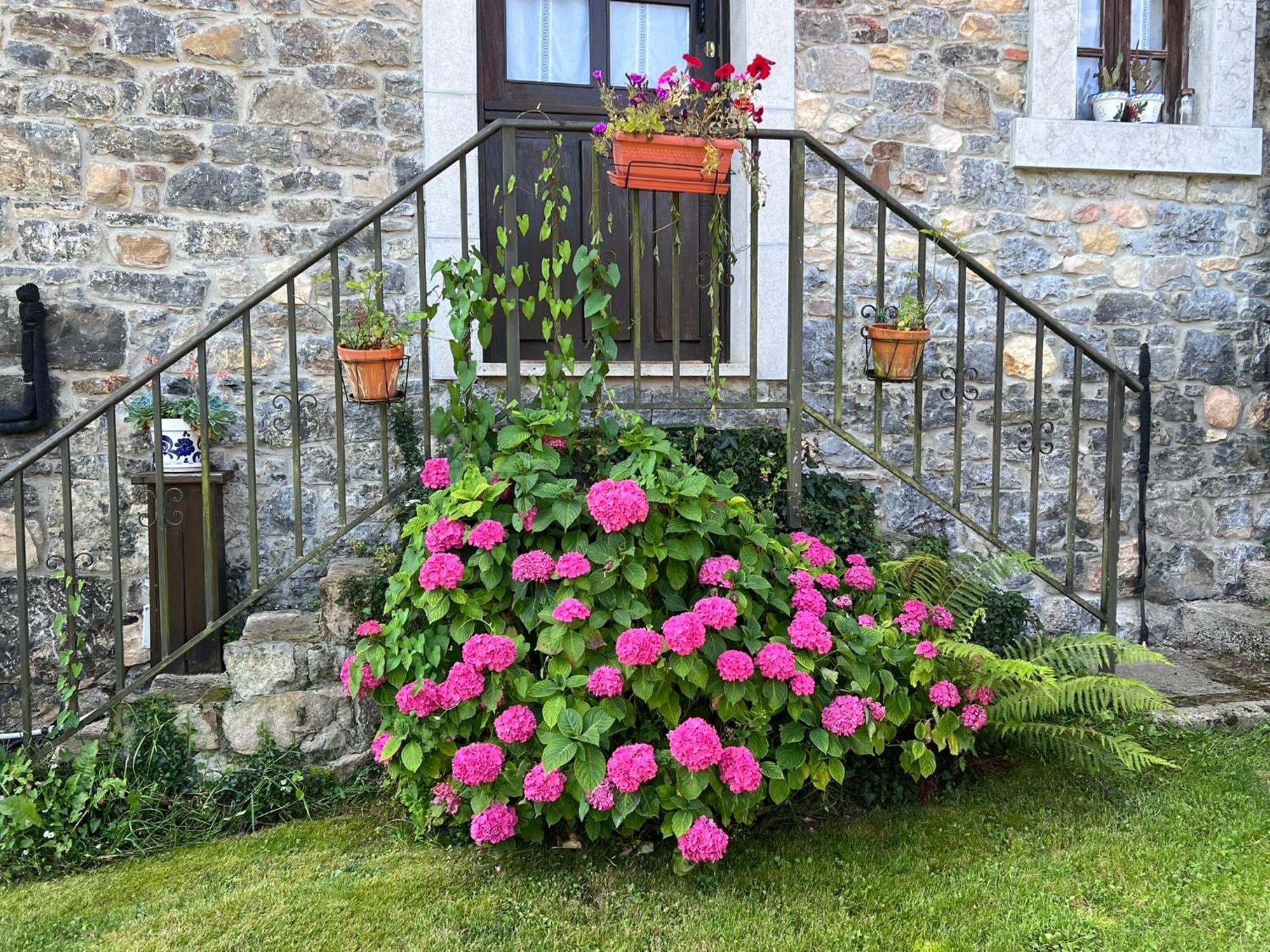 Casa Rural Casa Cerezal Cangas de Onis Luaran gambar